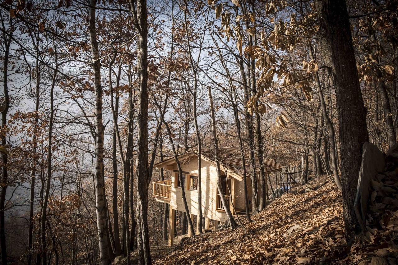 Villa Il Nido Del Casalot Frassino Exterior foto